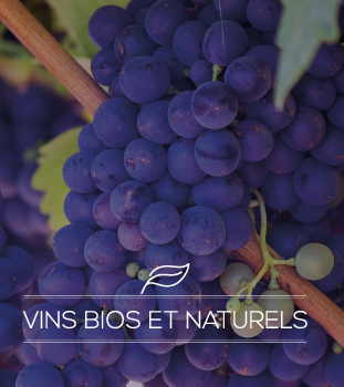 Vins-bios-et-naturels